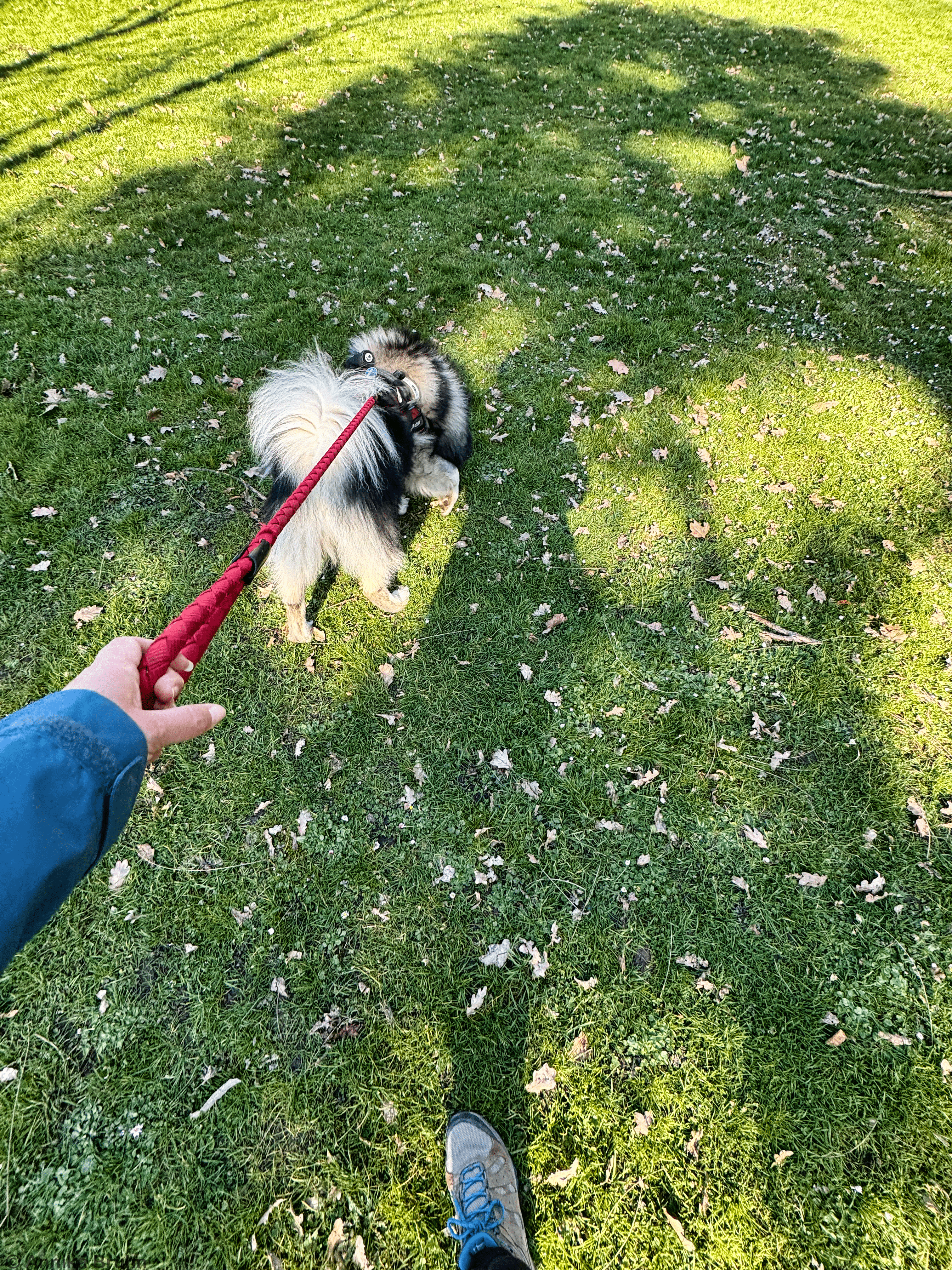 Q erkundet den Nymphengarten in Karlsruhe